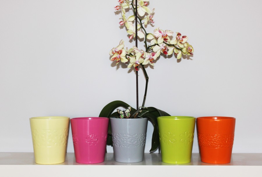 
                          	                                                                                             Vases pour l'orchidée 